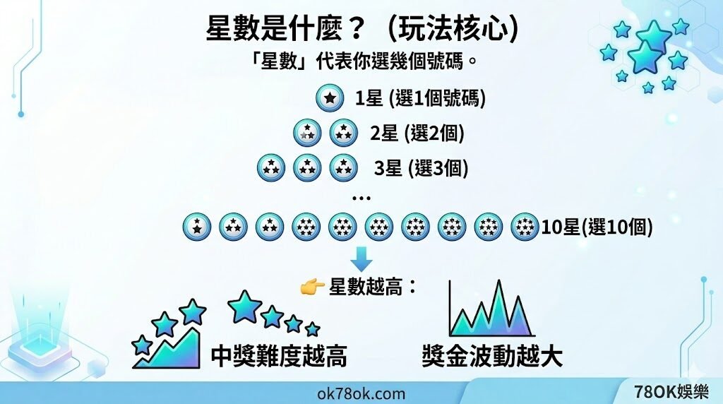 賓果賓果怎麼玩?完整玩法教學、星數規則與中獎方式一次看懂【78OK娛樂】 4 image 17 13